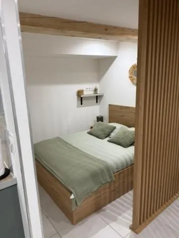 F2 Quartier Des Arts St Raphael شقة